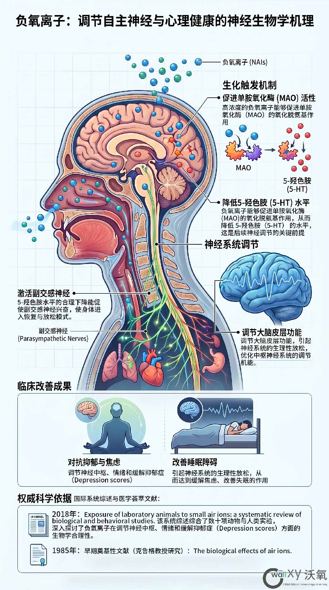 负氧离子调节自主神经和心理健康
